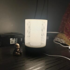 mesh-aura-lamp-made-in-goa-3d-printed-lamp-1